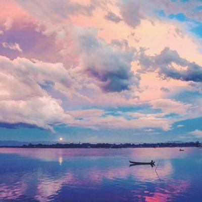 ثناء حمید avatar