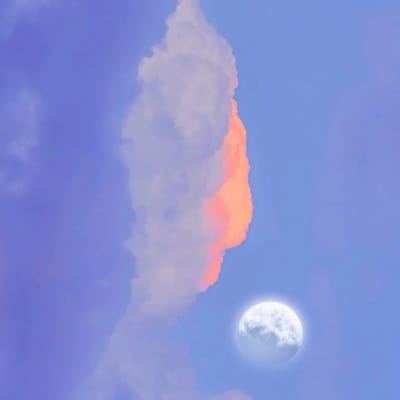 انضمام الحق avatar